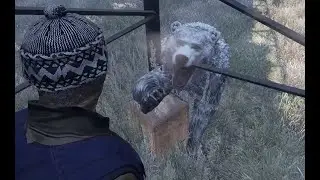 Админ заспавнил мне медведя DayZ Standalone Namalsk