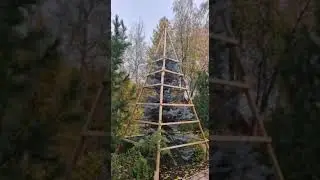 Подготовка сада к зиме 2