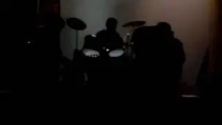 a flock of seagulls