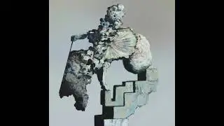 The Caretaker  K1  Advanced plaque entanglements, but somthing is wrong.mp3