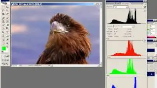 01 02 histogram final