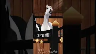 А у вас было такое?😅 #sso #starstableonline #horse #starstable #лошади #gaming #games