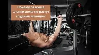 Почему от жима штанги лежа не растут грудные мышцы?