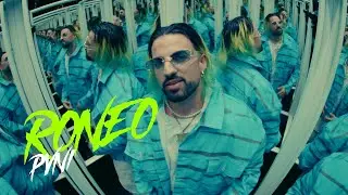 RONEO - PVNI