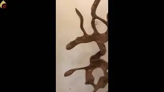 Wall Decoration