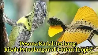 "Misteri Hutan: Petualangan Kadal Terbang di Hutan Asia Tenggara"