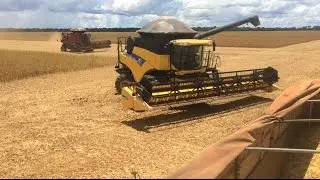 Colheita de soja 2017