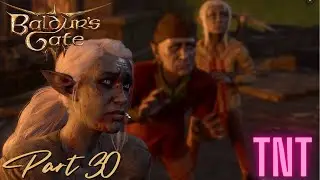 Mind If I push you into Lava? (Baldur's Gate 3) Part 30