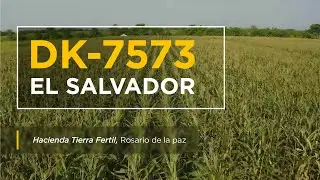 Día de campo EL SALVADOR | Finca Tierra Fértil