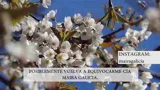 POSIBLEMENTE VUELVA A EQUIVOCARME-CÍA| MAIRA GALICIA❤ #poemas #literatura #amor