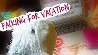 Webkinz Pack for Vacation