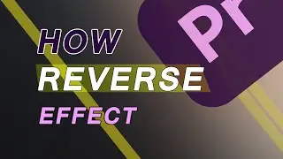 How to Reverse a Clip in Premiere Pro