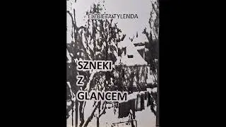 Elżbieta Tylenda SZNEKI Z GLANCEM ( wiersze wybrane )  Czyta: Bogdan Dmowski