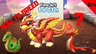 DML - How to breed the KONGMING dragon #35