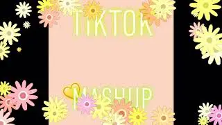 💛☀️🥑Tik Tok Mashup 5 Minutes (Not Clean) 🥑☀️💛