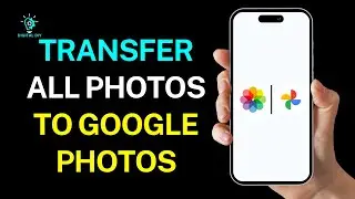 How to Transfer All Photos from Gallery to Google Photos