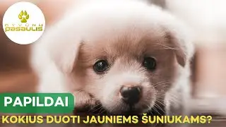 Kokius papildus reikia duoti jauniems šuniukams?