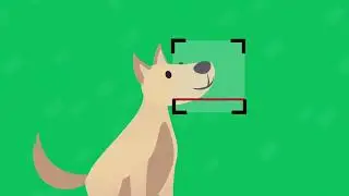 RG PET