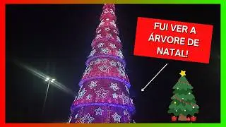 FUI VER A ÁRVORE DE NATAL DO BARRA SHOPPING E A QUEIMA DE FOGOS