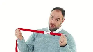 Аксессуары для щенка  Школа идеального хозяина  Выпуск 3