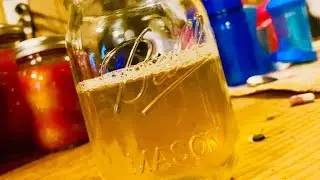 HOW to get RID of FRUIT FLIES | The Homestead Pest | DIY TRAP