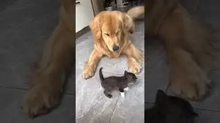 Don't Disturb me 