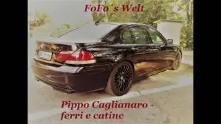 Pippo Caglianaro - ferri e catine