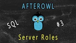 SQL Server Roles
