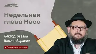 Недельная глава «Насо». Раввин Шимон Варакин
