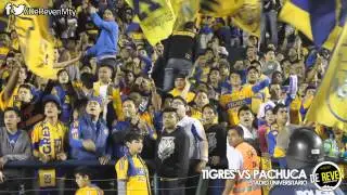 AFICION TIGRES VS PACHUCA
