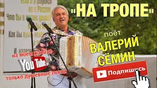 Поёт Валерий СЁМИН. Душевная песня 