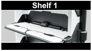 Plasticity Warmup: August 28, 2024