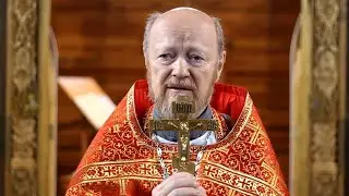2023 05 21 Проповедь прот. Валентина Васечко в Неделю о слепом