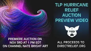 Hurricane Relief Auction Preview