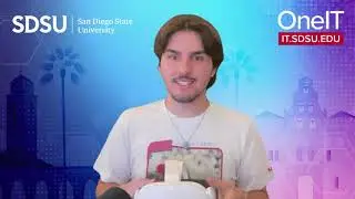 Meta Quest 3: Viewing Immersive Content