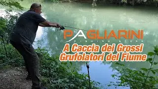 A Caccia dei Grossi Grufolatori del Fiume