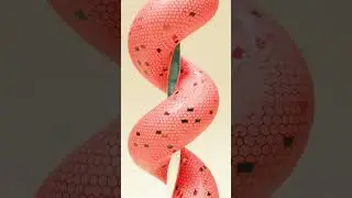 Snake looking thing waking up the pole