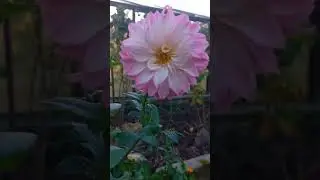 сезон еще не закончен)