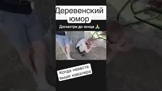 Когда невеста выше кавалера. Юмор