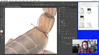 How to Join and Trim Paths in lllustrator