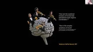 Measuring cortical interactions in EEG, MEG and intracranial EEG