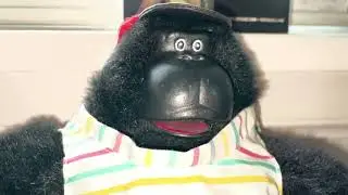 My 1st Magogo Macarena Gorilla