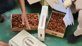 proses import kurma pengecekan karantina & custom clearance PT Prima Anugrah Logistindo