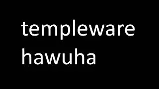 Templeware HvH experience