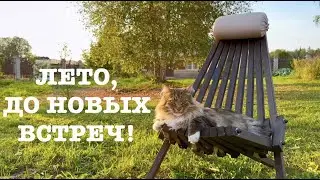 #156. Продолжаем сбор урожая. Новое приобретение. В лес за грибами. [Жизнь на своей земле]