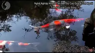 Nghề Nghiệp Không Tạo Nên Sự Cao Quý Ở Con Người