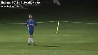 Hallam FC 3 - 3 Swallownest