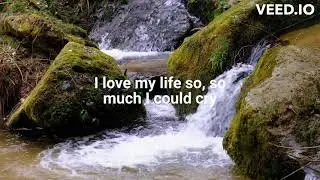 I love my life so, so much I could cry