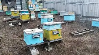 Последний облет 21