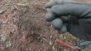 Первый выход в 2023